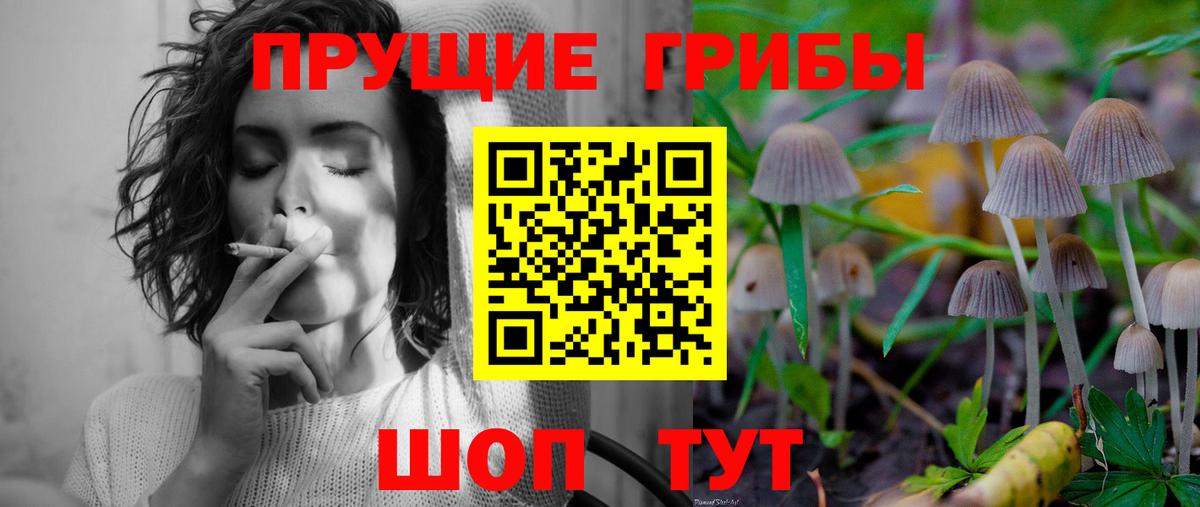 Десногорск  Галлюциногенные грибы Psilocybe  Вход с VPN 