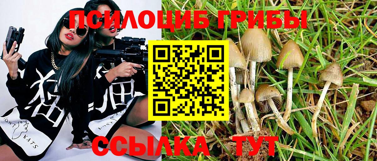 Галлюциногенные грибы Magic Shrooms Десногорск